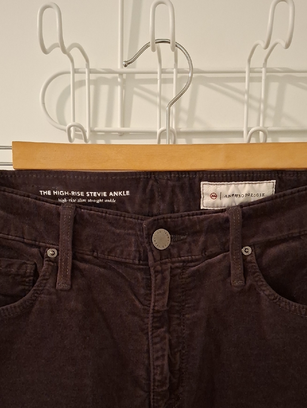 Agolde (Anthropologie) Chocolate Brown Velvet High-rise Stevie Jeans (Size 27)